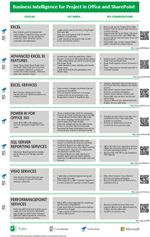 BI for Project in Office and SharePoint