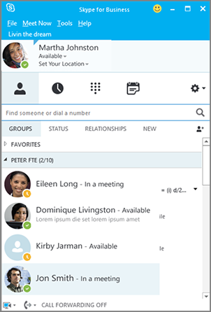 Skype for Business Contacts list